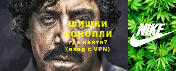 мет Арсеньев