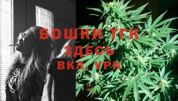 мет Арсеньев