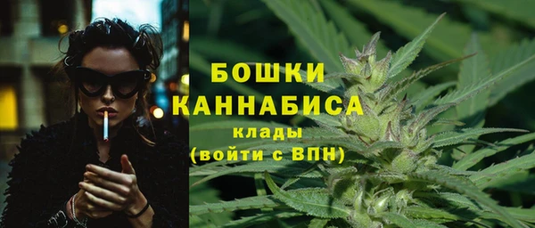 мет Арсеньев