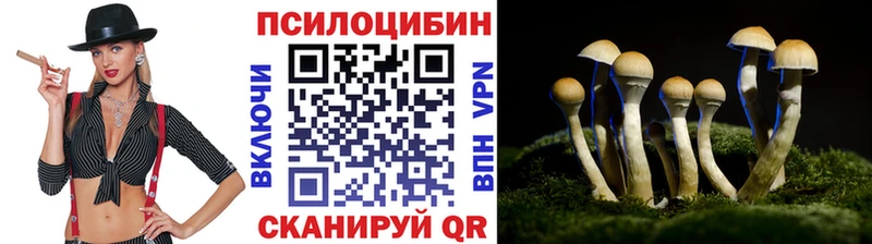 Галлюциногенные грибы ЛСД  сколько стоит  Чаплыгин 